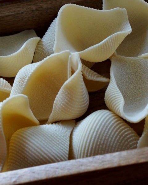 Conchiglioni 500gr