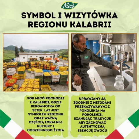 Sok NFC - Bergamotka z jabłkiem 200ml, prosto z Kalabrii